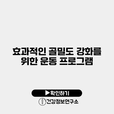 효과적인 골밀도 강화를 위한 운동 프로그램